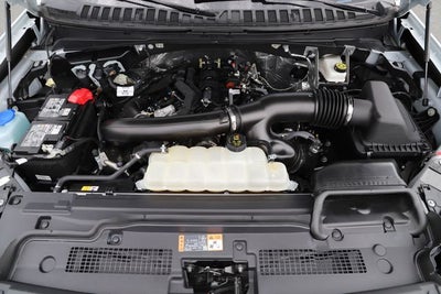 2025 Ford Expedition Active MAX