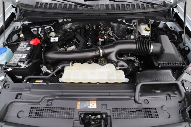 2025 Ford Expedition Active MAX