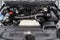 2025 Ford Expedition Active MAX