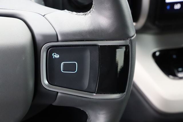 2025 Ford Expedition Active MAX