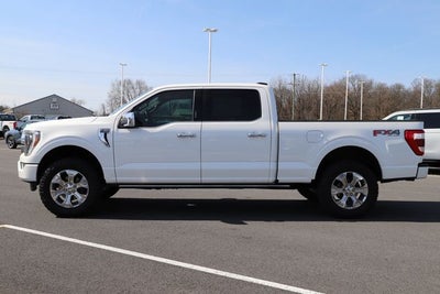 2021 Ford F-150 Platinum