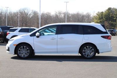 2025 Honda Odyssey Touring